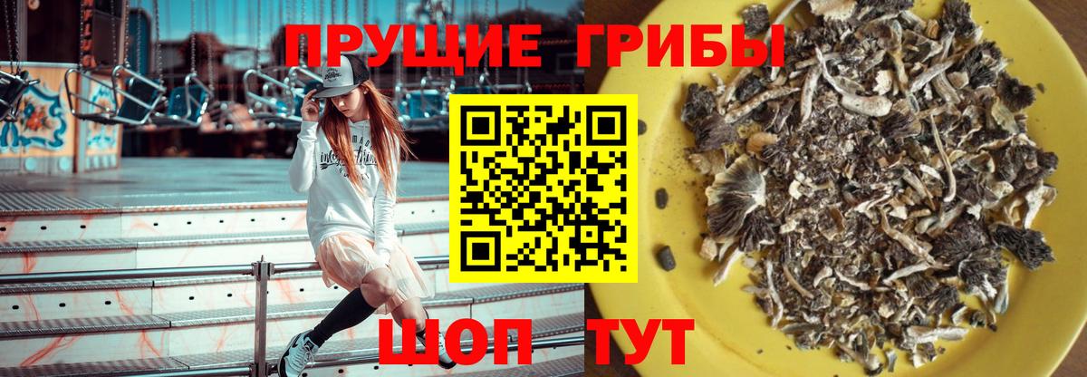 Галлюциногенные грибы ЛСД Йошкар-Ола